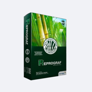 Resma De Papel Blanco Tamaño Carta 500 Hojas